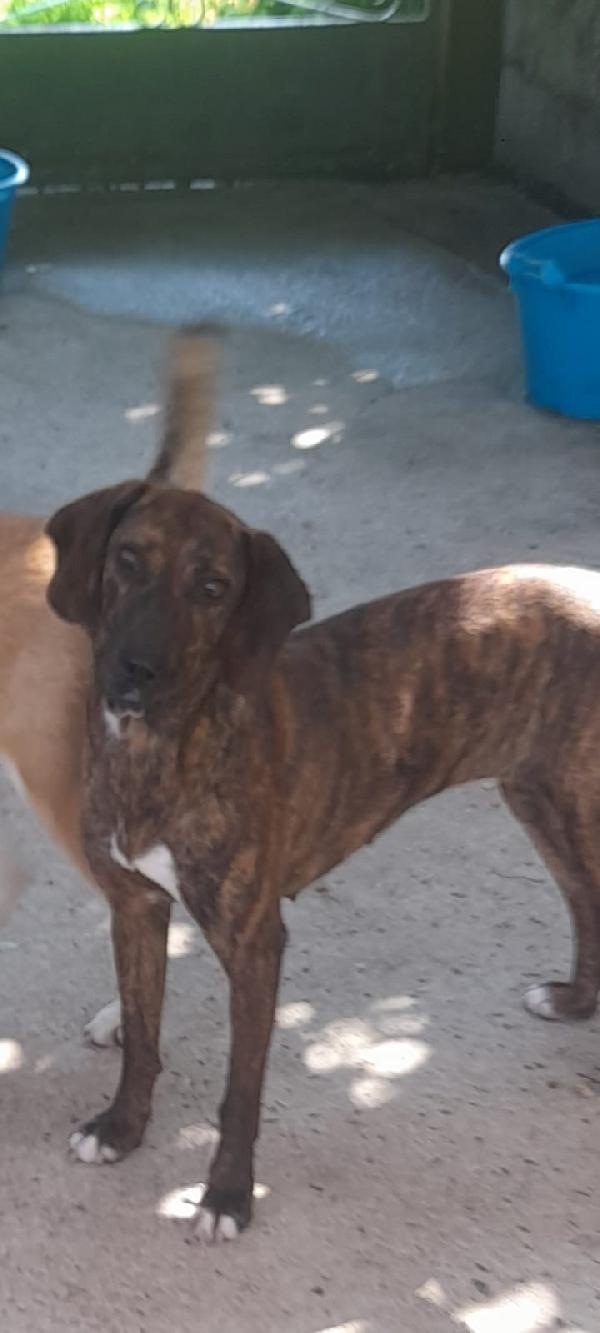 💔 Lidia, abbandonata ma con tanta voglia di vivere 💔 Foto 9